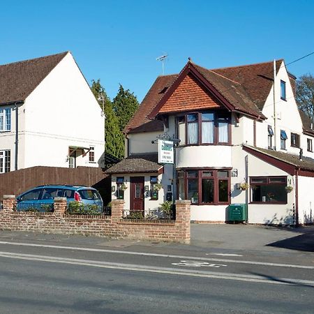 Conifers Guest House Oxford Bagian luar foto